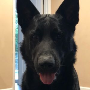 Meet your Posher, Nicholas